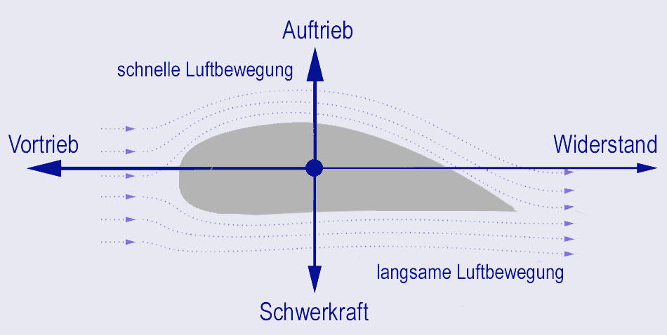 17434777515701589309alleauftrieb Und Wirbeldichte Beim Fliegen Pdf Kostenfreier Downloadhtml