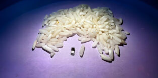 kleinster Herzschrittmacher der Welt