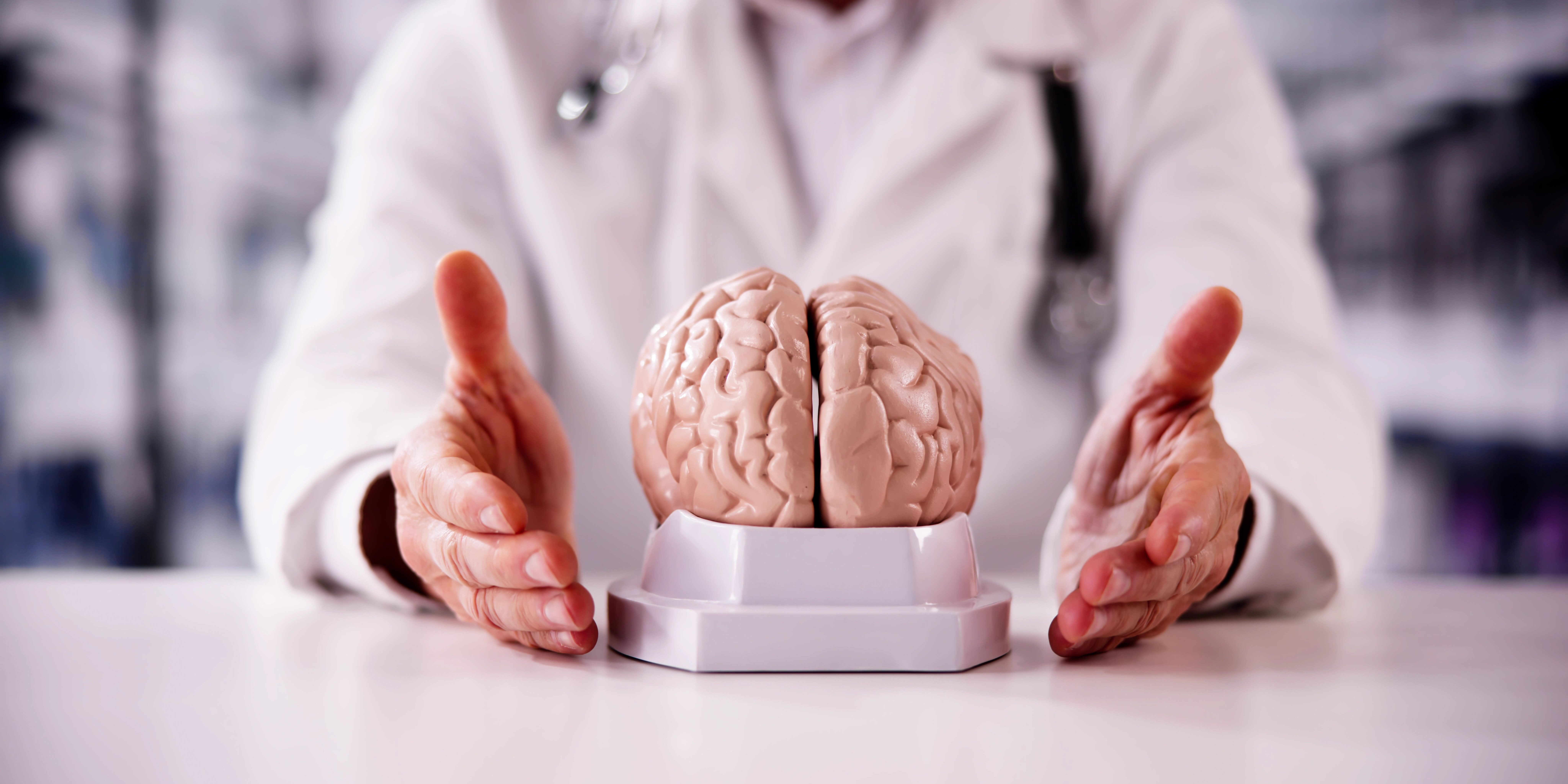 Forschende testen Alzheimer-Prozesse an lebendem Gewebe