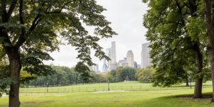 grüne Oase in der Stadt