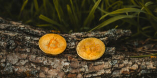 Bitcoin und die Umwelt