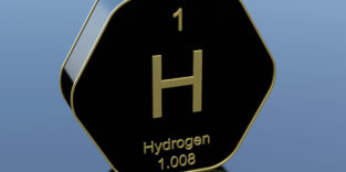 PantherMedia B68631185