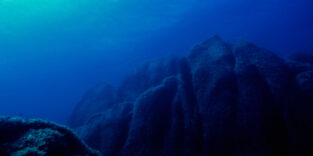 Unterwasseraufnahme im Ozean.