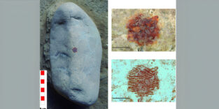 Fingerabdruck eines Neandertalers