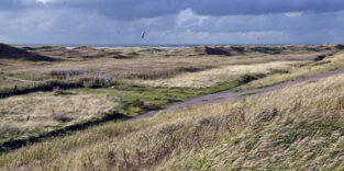 Dünen Sankt Peter-Ording
