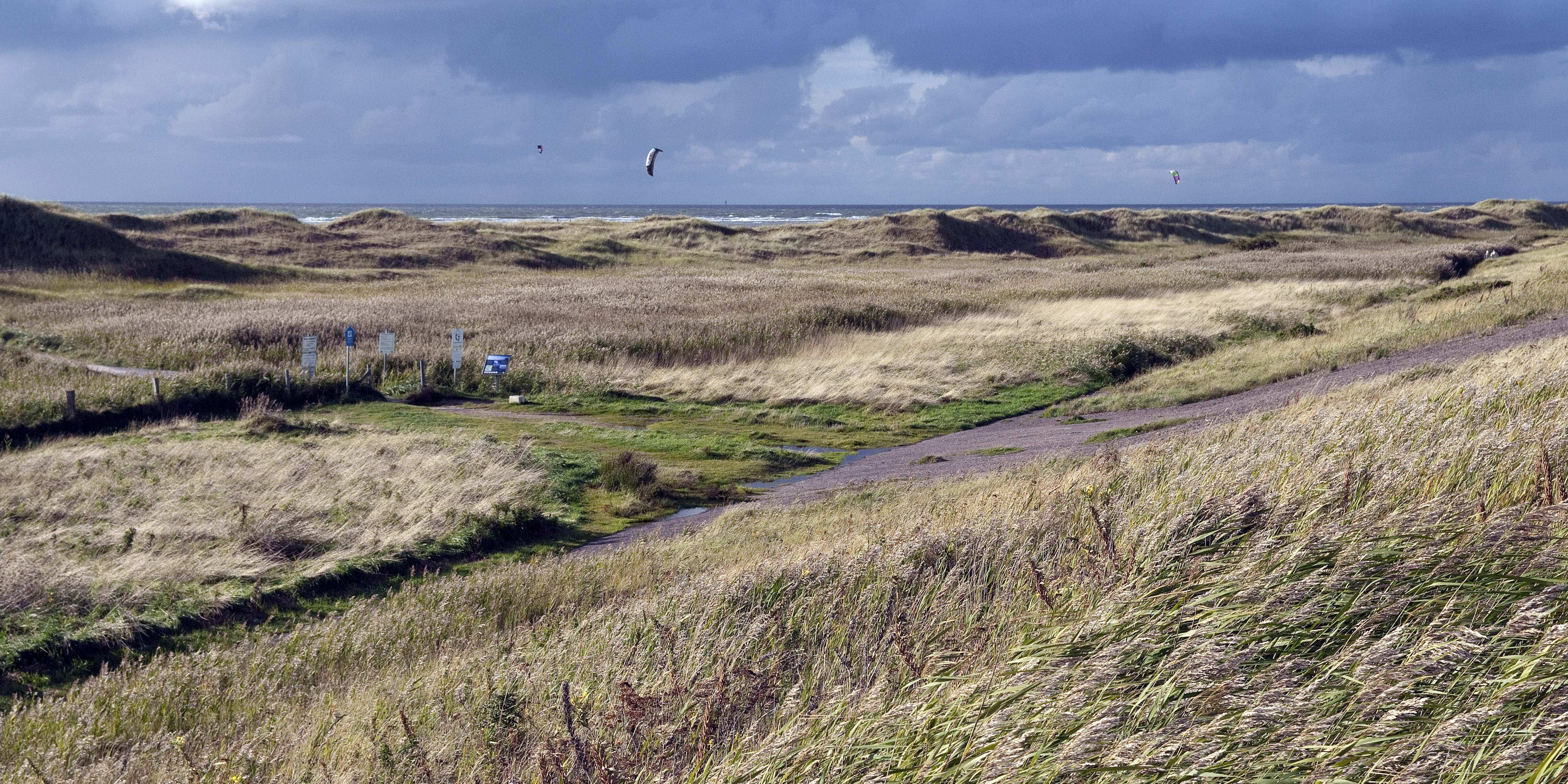 Küstenschutz im Wellenkanal: Düne trifft Sturmflut