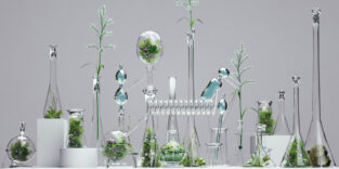 Pflanzen in Glas-Laborgefäßen die untereinander zu einem Kreislauf verbunden sind.