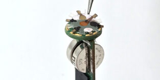 Kapsel Darmgesundheit