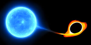 Ein unglücklicher massereicher Stern nähert sich einem supermassereichen Schwarzen Loch