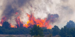 Waldbrand in Kroatien