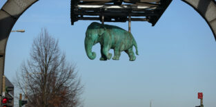 Elefant in der Schwebebahn