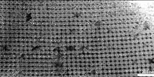 Nanopartikelstruktur unter dem Elektronenmikroskop