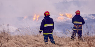 Feuerwehr bekämpft Waldbrand