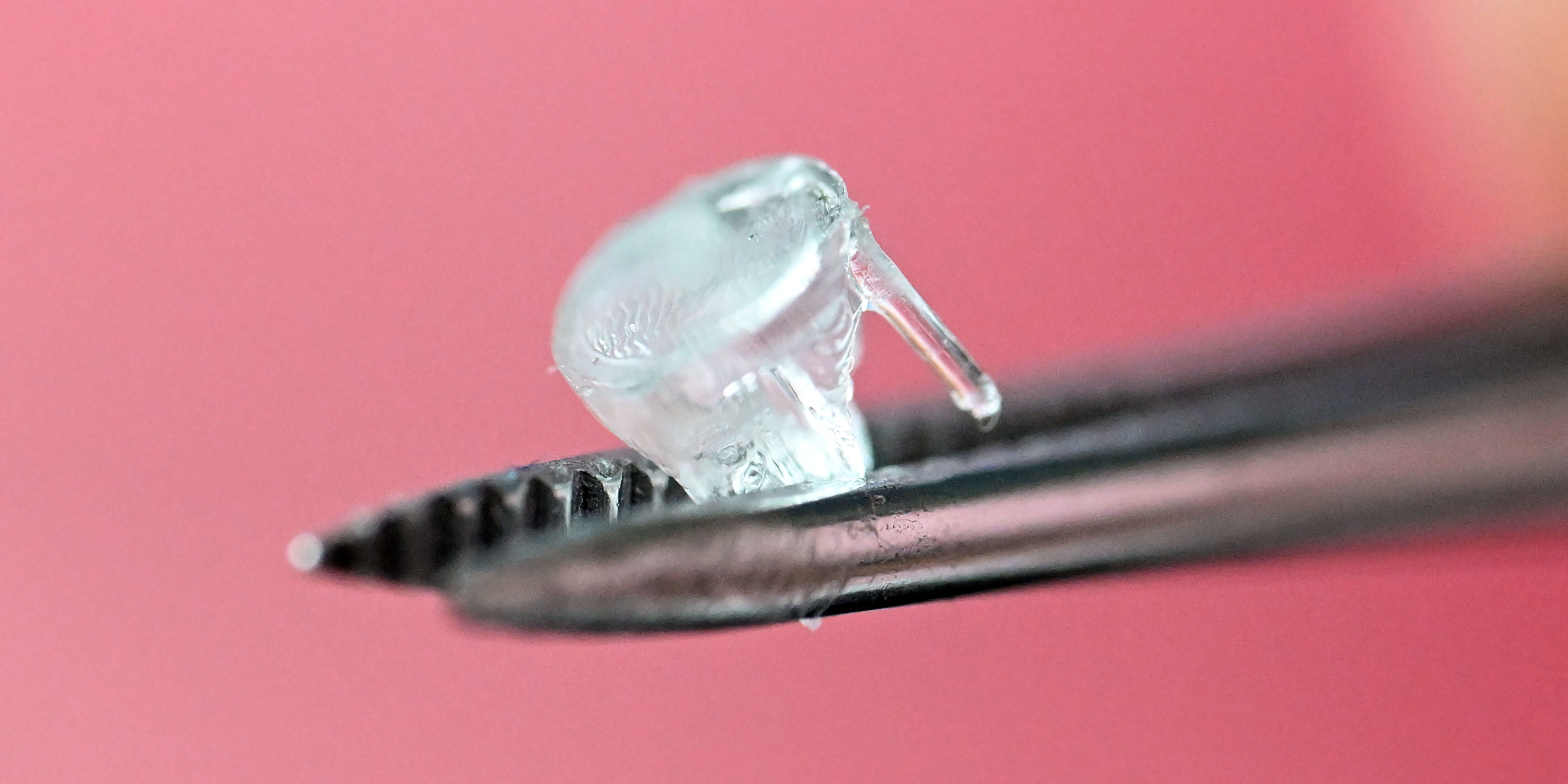 Warum Organe aus dem Biodrucker auf sich warten lassen