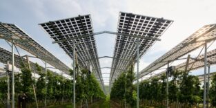 Agri-PV, Kressbronn, Obsthof Bernhard