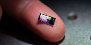 Auf einer Fingerspitze liegt ein winziger photonischer Chip, der mehr Informationen überträgt.