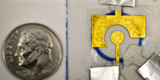 Sensor erkennt Krebs und HIV