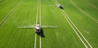 Blick auf einen grünen Acker, auf dem zwei Landmaschinen Dünger ausbringen.