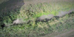 Blick von oben auf eine grüne Landschaft, in der sich mittig ein ausgetrocknetes Flussbett befindet.