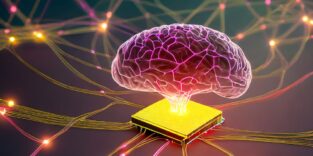 Gelb leuchtender Chip über dem ein Gehirn schwebt und umgeben von einem Netzwerk