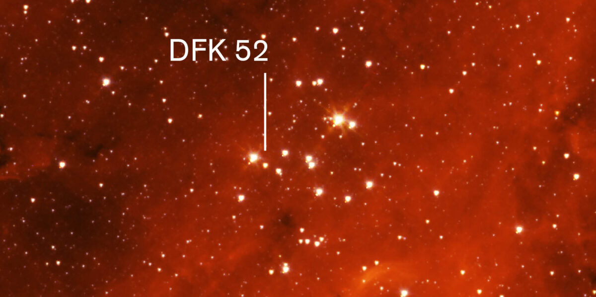 Der rote Überriese DFK 52 ist ein Mitglied des Sternhaufens Stephenson 2. In diesem Bild sind die hellsten Sterne allesamt Überriesen und gehören zum Sternhaufen