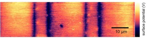 Rasterkraftmikroskopbild