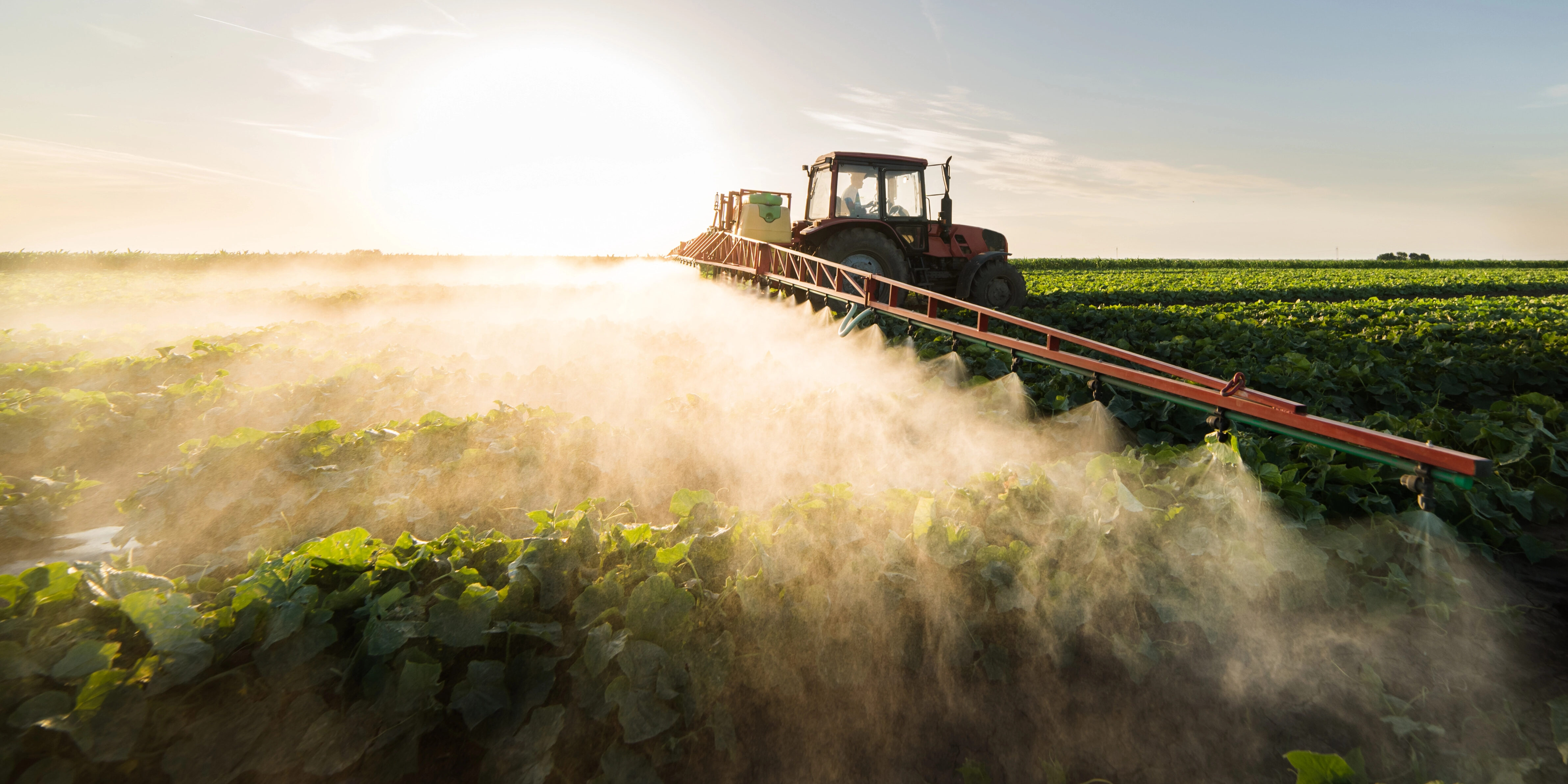 Ammoniak aus der Kugelmühle als Alternative zu Haber-Bosch