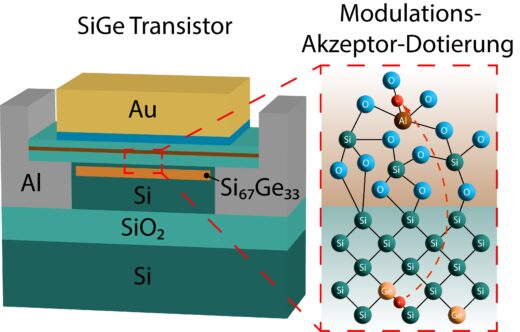 Ein neuartiger Transistor, entwickelt an der TU Wien. Er kommt ohne Dotierung von Halbleitern aus und hat entscheidende Vorteile für das Steuern und Auslesen von Qubits. Foto: TU Wien