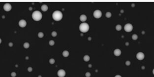 Eine quantitative Phasenmikroskopie-Aufnahme von biomolekularen Kondensaten