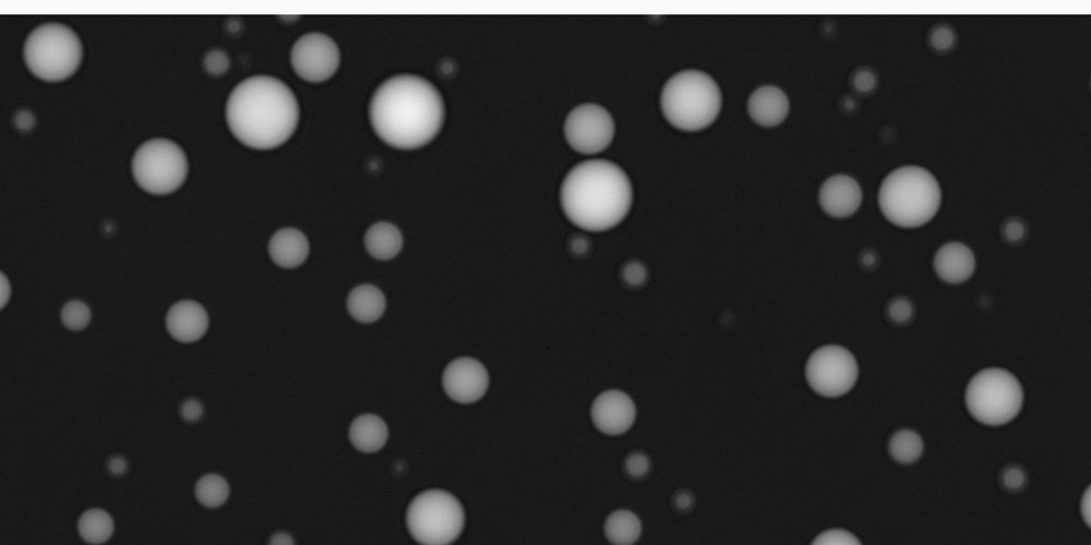 Eine quantitative Phasenmikroskopie-Aufnahme von biomolekularen Kondensaten