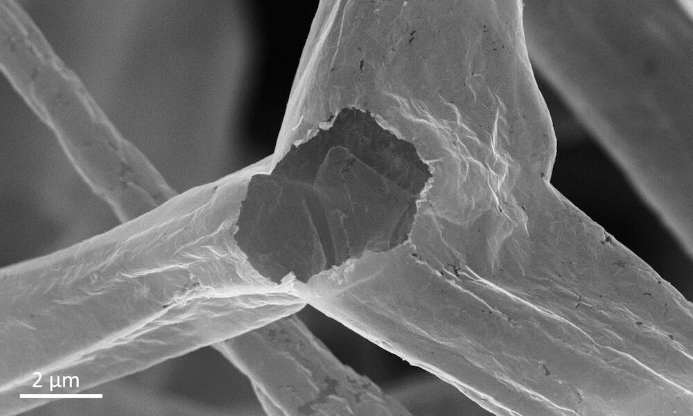 Blick in die feinen Hohlröhren des Nano-Materials.