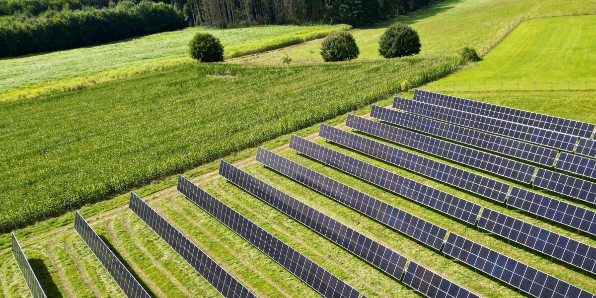 Bei der Anlage wird die Fläche optimal ausgenutzt und so ein optimiertes Miteinander von Photovoltaik und Landwirtschaft ermöglicht. Foto: Kostal Industrie Elektrik