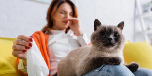 Eine Frau mit Katze auf dem Schoß sitzt auf einem Sofa.