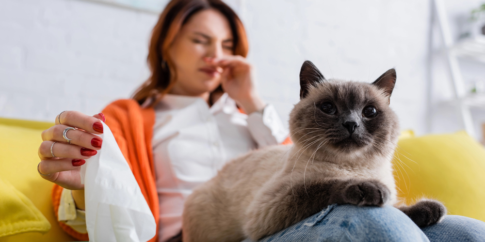 Eine Frau mit Katze auf dem Schoß sitzt auf einem Sofa.