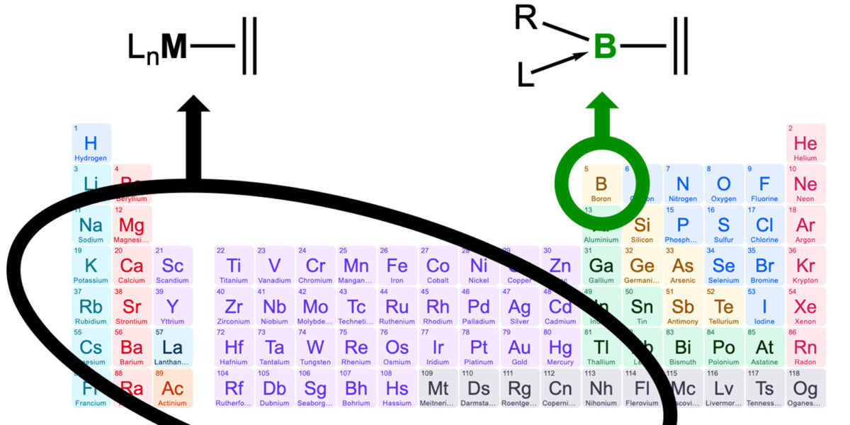 Herkömmliche Koordinationskomplexe von Olefinen mit Metallen (links) und die neu entdeckten Olefin-Koordinationskomplexe mit Bor (rechts). Foto: Rian Dewhurst/Universität Würzburg