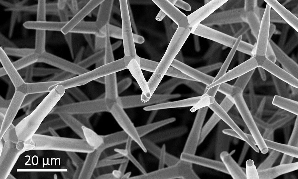 Bild eines Rasterelektronenmikroskops von der nanometerdünnen Schicht aus Graphen