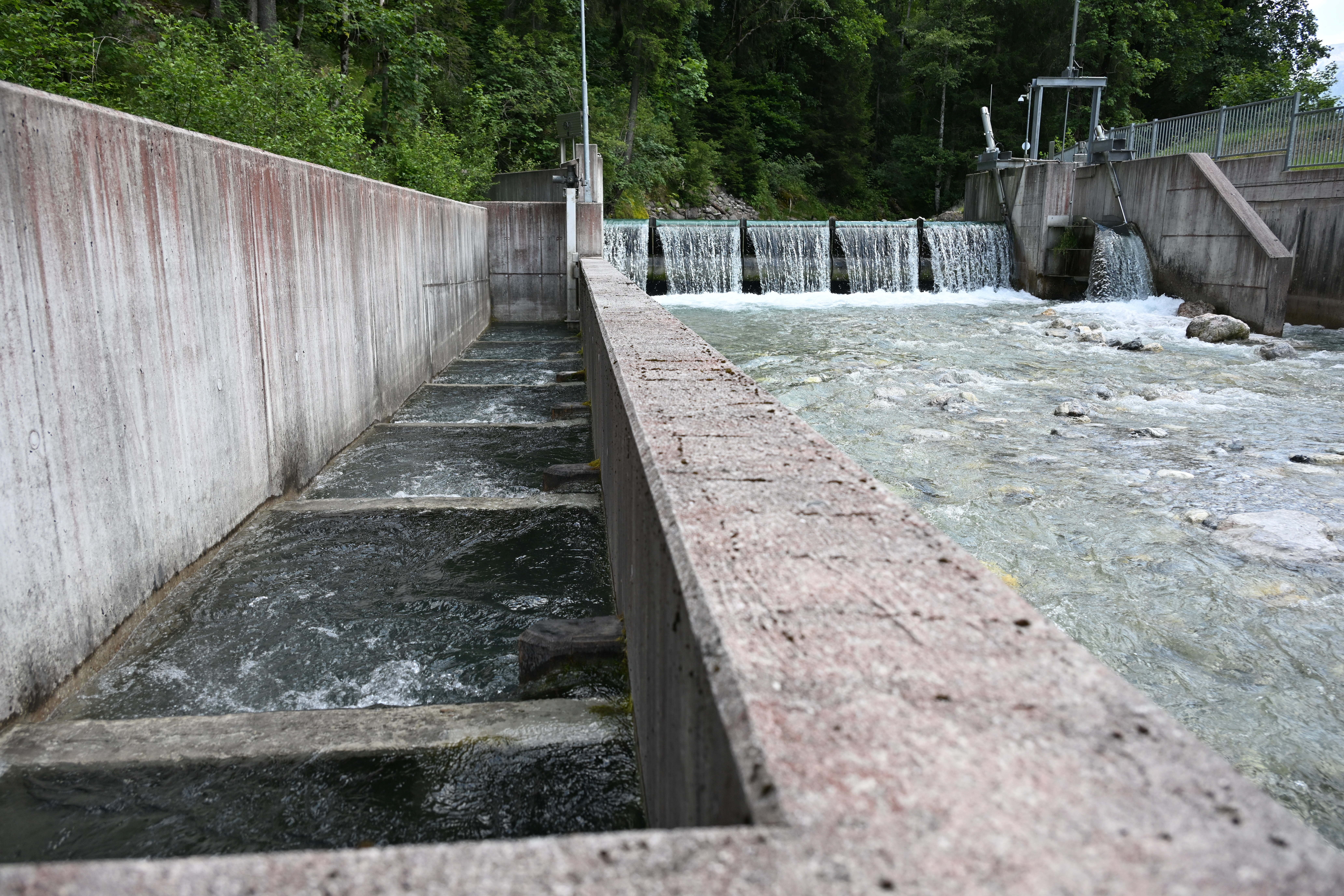 Kleinwasserkraftwerk mit Fischtreppe (li.). Wie moderne Technik und Fischtreppen Ökologie und Energiegewinnung vereinen können, wird seit Jahren intensiv debattiert. Foto: picture alliance / BARBARA GINDL / APA / picturedesk.com