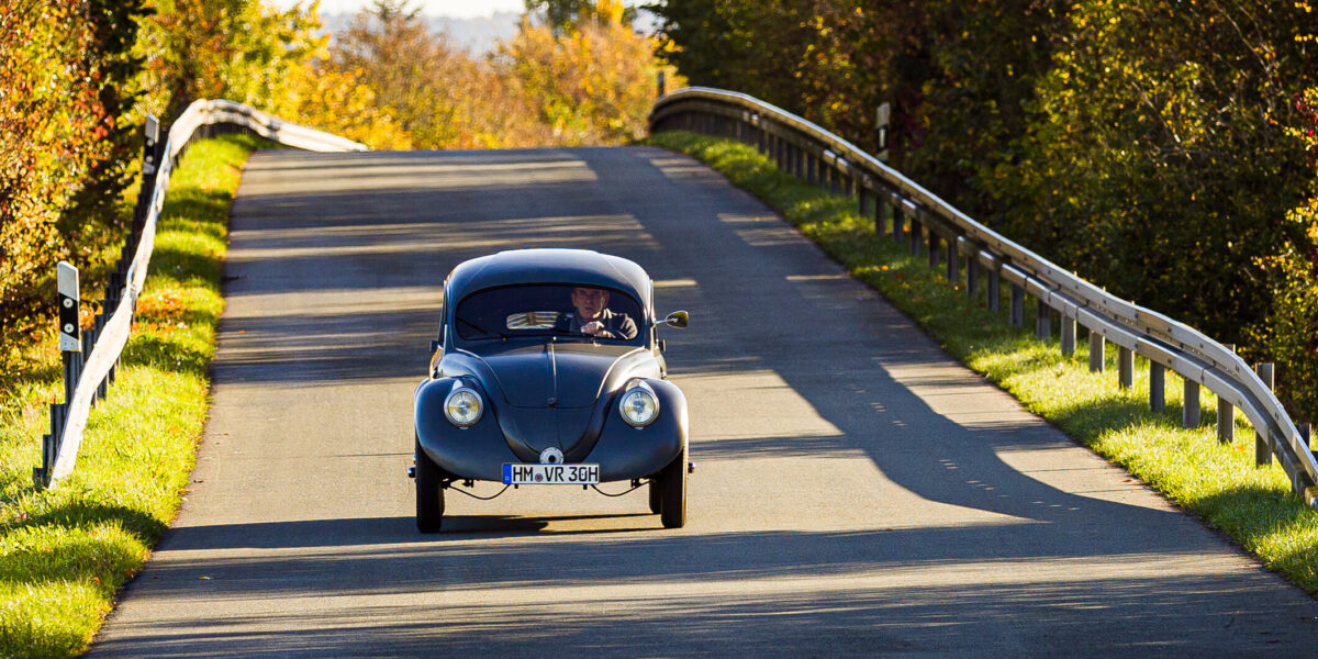 ältester Käfer der Welt