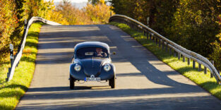 ältester Käfer der Welt