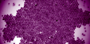 Rotierende Kristalle unter dem Mikroskop: Die winzigen Bausteine drehen sich, zerfallen und fügen sich selbst wieder zusammen – ein völlig neues Materialverhalten.