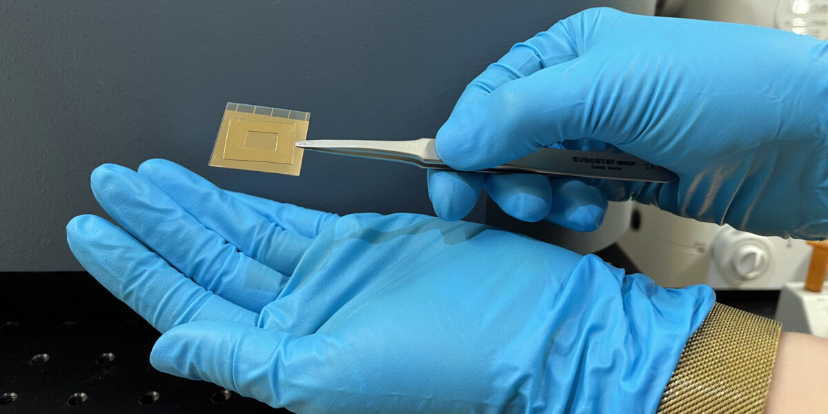 Eine Plattform aus Gold enthüllt die Kräfte, die in der unsichtbaren Verbindung der Natur wirken. Foto: Chalmers University of Technology | Mia Halleröd Palmgren