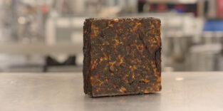 Pflasterstein aus Pilzen