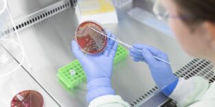 Forschende am Leibniz-IPHT in Jena entwickeln eine Mikroarray-Plattform, die Antibiotikaresistenzen und Impfschutz mit nur einem Tropfen Blut nachweist.