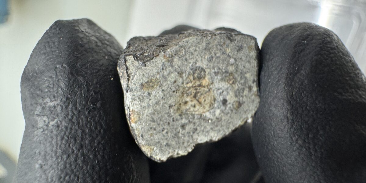 Zur Untersuchung wurde das Meteoriten-Fragment zersägt - das Foto zeigt den Anschnitt. Foto: Leon Thannheiser