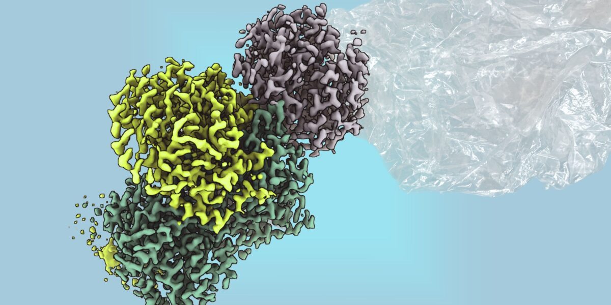 Mit einem bakteriellen Enzym könnte man zukünftig Plastik nachhaltig erzeugen. Foto: Max-Planck für terrestrische Mikrobiologie/Geisel

