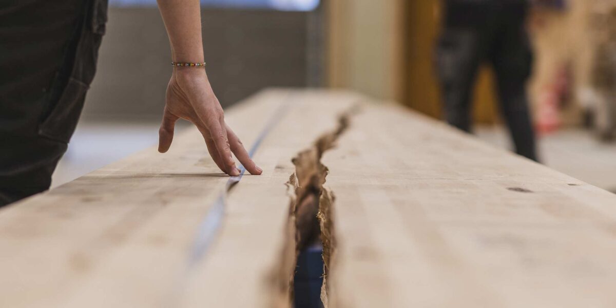 Der Riss im Biegeträger aus Birken-Brettschichtholz nach dem Versuch. Foto: FH Aachen/Pia Schieren