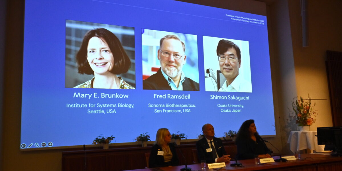 Die US-Amerikanischen Forschenden Mary E. Brunkow und Fred Ramsdell und der japanische Wissenschaftler Shimon Sakaguchi gewinnen den diesjährigen Medizin-Nobelpreis für ihre Immunologieforschung.
Foto: picture alliance / TT NEWS AGENCY/Claudio Bresciani