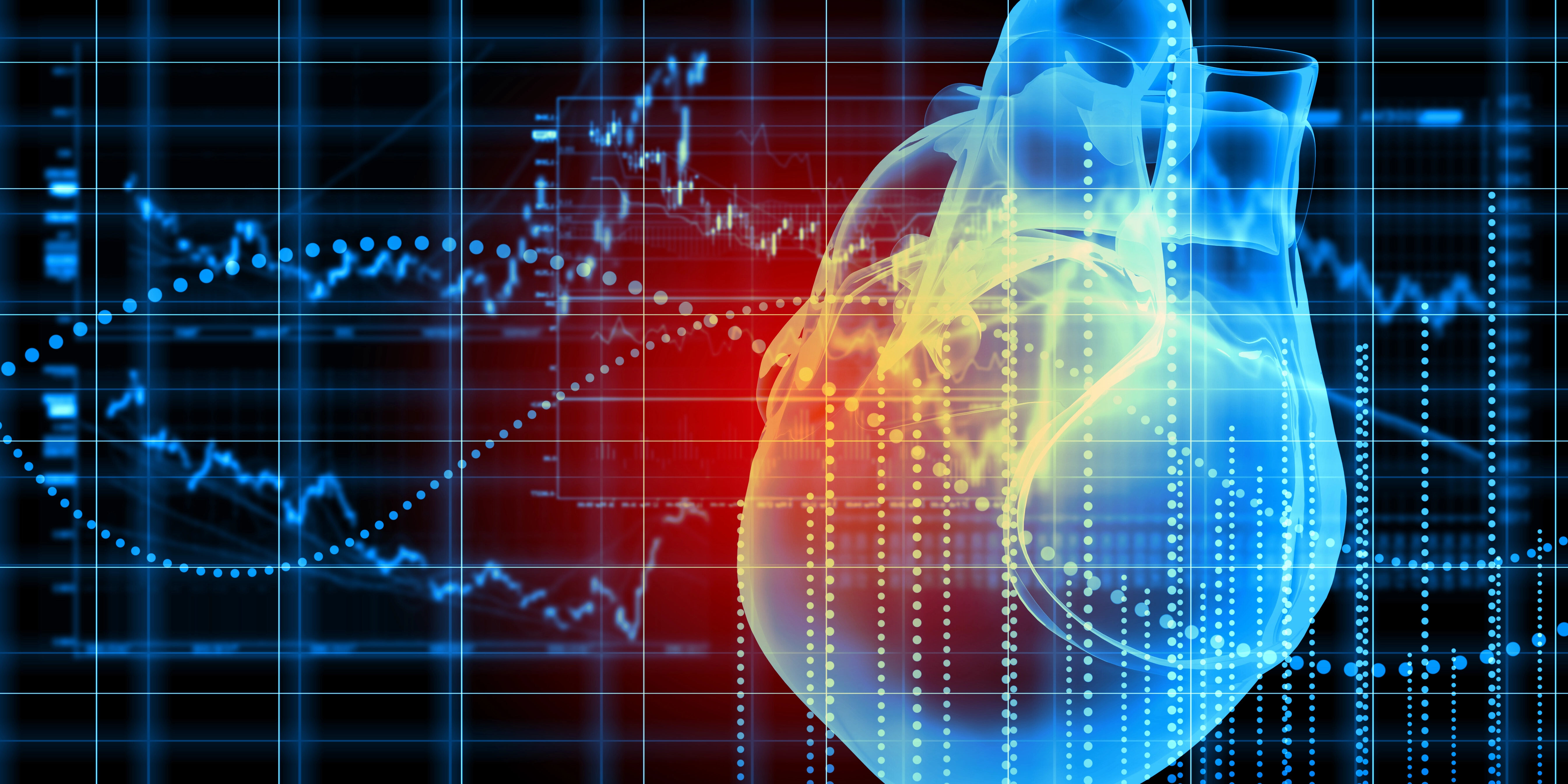 3D-Bildgebung liefert Erklärung für plötzlichen Herztod