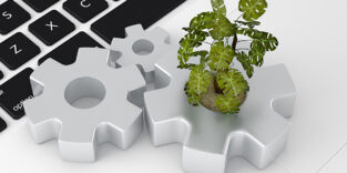 PantherMedia D19010290