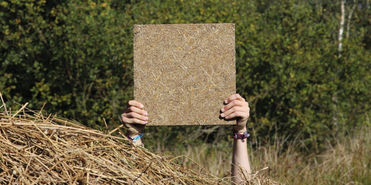 Die Nährbodenplatte „Paluboard“ des Startups Planterial.